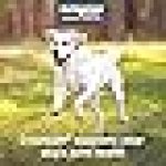 Nutramax Cosequin for Dogs Joint Health Supplement, Contains Glucosamine - Image 3