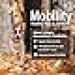 ValueBull Chicken Feet for Dogs, 100 Count Bulk Pack - All Natural Dog Chew - Image 3