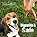 ValueBull Chicken Feet for Dogs, 100 Count Bulk Pack - All Natural Dog Chew - Image 2