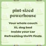 Bissell Little Green Mini Portable Carpet and Upholstery Deep Cleaner, Car/Auto Detailer, with HydroRinse Self-Cleaning Tool and 4" Tough Stain Tool, Tea Green, 4075 - Image 5