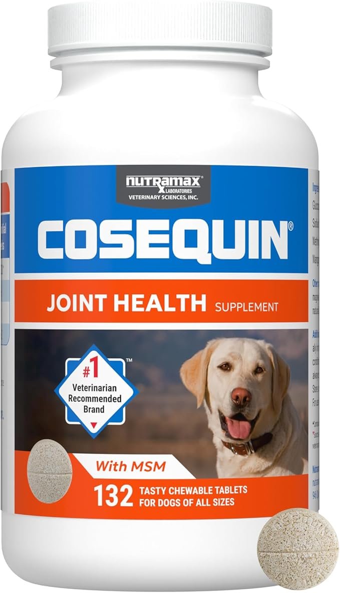 71Ose24LM2L._AC_SX679_ Nutramax Cosequin for Dogs Joint Health Supplement, Contains Glucosamine - Image 1