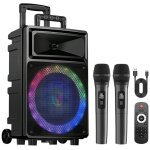 Seenda Karaoke Machine with 2 Wireless Microphones, Bluetooth Speaker